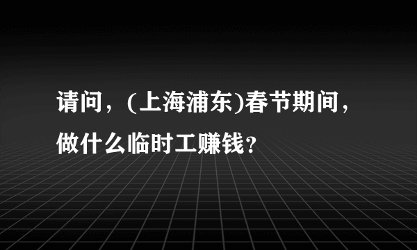 请问，(上海浦东)春节期间，做什么临时工赚钱？