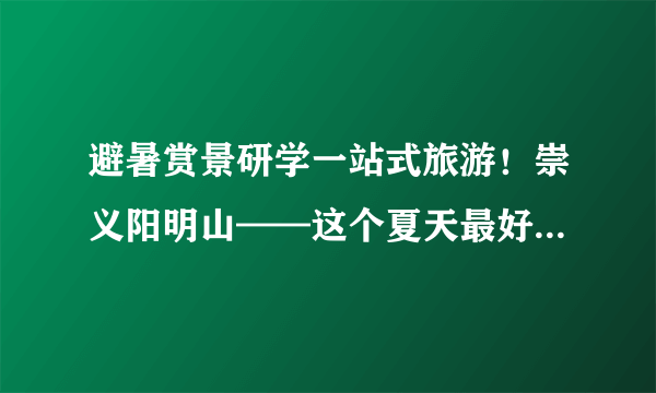 避暑赏景研学一站式旅游！崇义阳明山——这个夏天最好的安排！