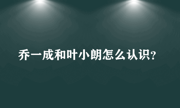 乔一成和叶小朗怎么认识？