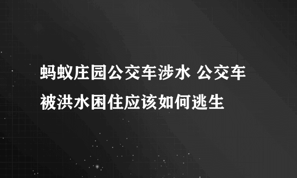 蚂蚁庄园公交车涉水 公交车被洪水困住应该如何逃生