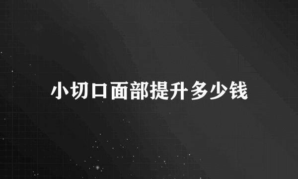 小切口面部提升多少钱