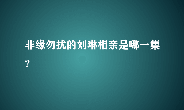 非缘勿扰的刘琳相亲是哪一集？