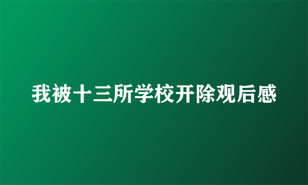 我被十三所学校开除观后感