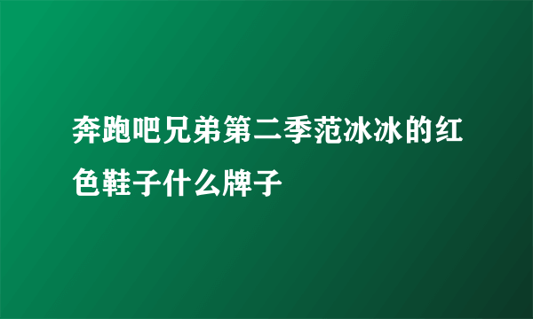 奔跑吧兄弟第二季范冰冰的红色鞋子什么牌子