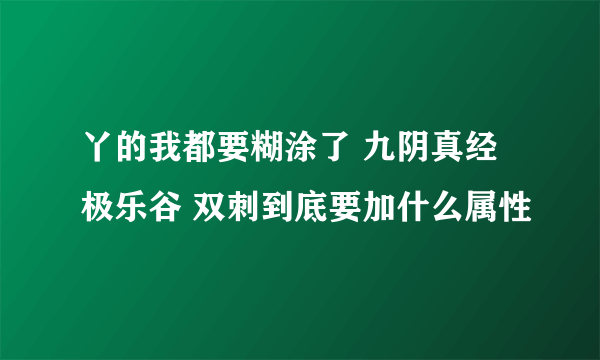 丫的我都要糊涂了 九阴真经极乐谷 双刺到底要加什么属性