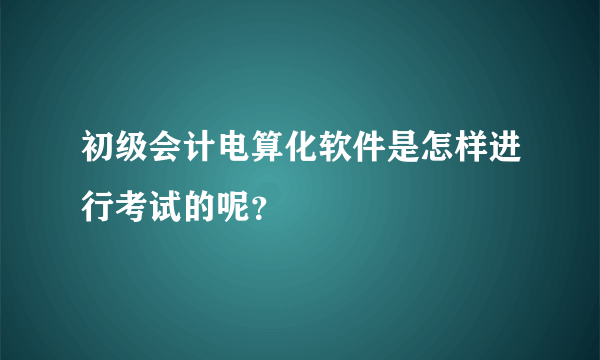 初级会计电算化软件是怎样进行考试的呢？