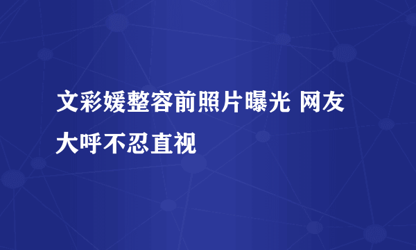 文彩媛整容前照片曝光 网友大呼不忍直视