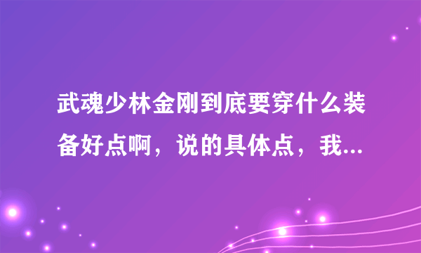 武魂少林金刚到底要穿什么装备好点啊，说的具体点，我看有的人穿无畏的，有的是军功的，