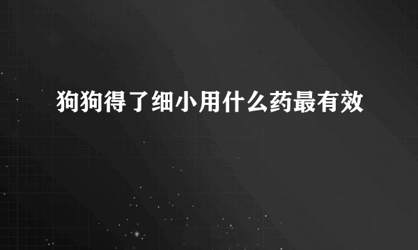 狗狗得了细小用什么药最有效