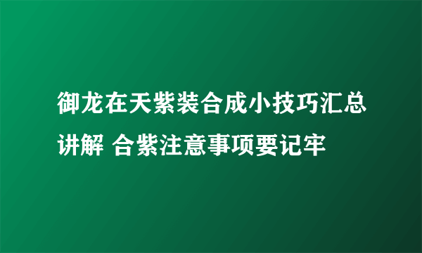 御龙在天紫装合成小技巧汇总讲解 合紫注意事项要记牢