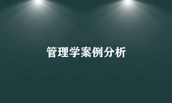 管理学案例分析