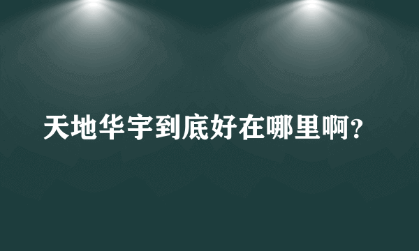 天地华宇到底好在哪里啊？