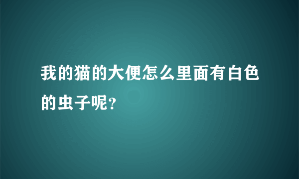 我的猫的大便怎么里面有白色的虫子呢？