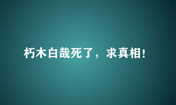 朽木白哉死了，求真相！