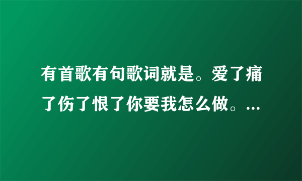 有首歌有句歌词就是。爱了痛了伤了恨了你要我怎么做。歌名叫啥？