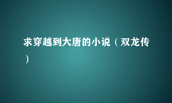 求穿越到大唐的小说（双龙传）