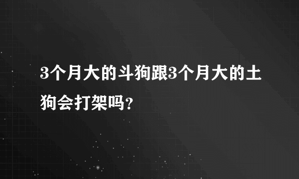 3个月大的斗狗跟3个月大的土狗会打架吗？