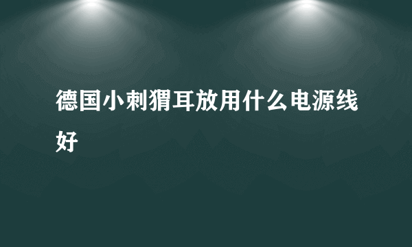 德国小刺猬耳放用什么电源线好