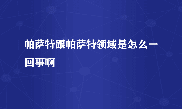 帕萨特跟帕萨特领域是怎么一回事啊