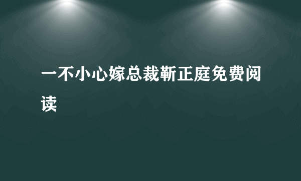 一不小心嫁总裁靳正庭免费阅读