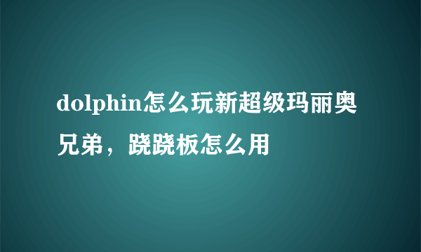 dolphin怎么玩新超级玛丽奥兄弟，跷跷板怎么用