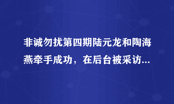 非诚勿扰第四期陆元龙和陶海燕牵手成功，在后台被采访时候的那个插曲名称