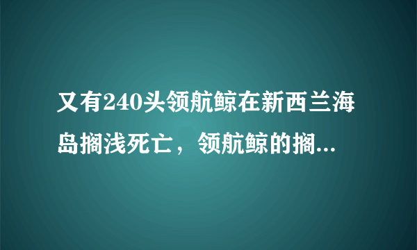 又有240头领航鲸在新西兰海岛搁浅死亡，领航鲸的搁浅原因有哪些？