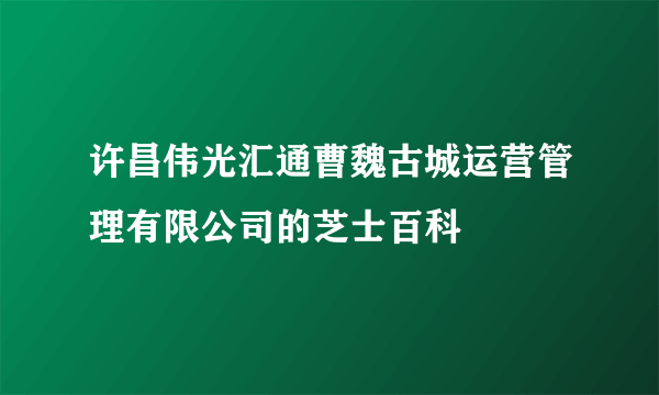 许昌伟光汇通曹魏古城运营管理有限公司的芝士百科