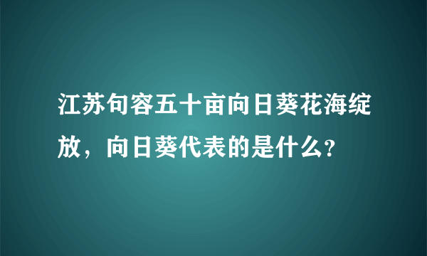 江苏句容五十亩向日葵花海绽放，向日葵代表的是什么？