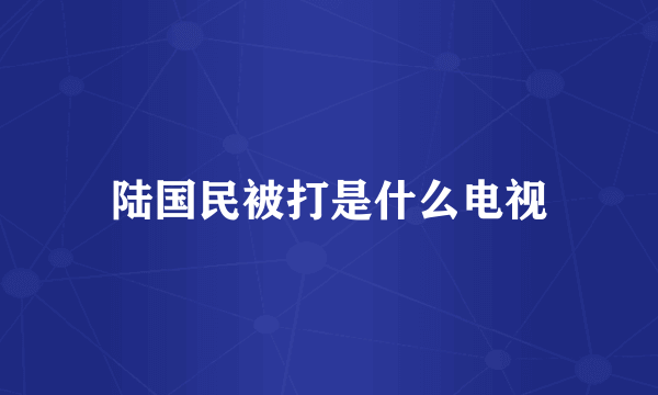 陆国民被打是什么电视