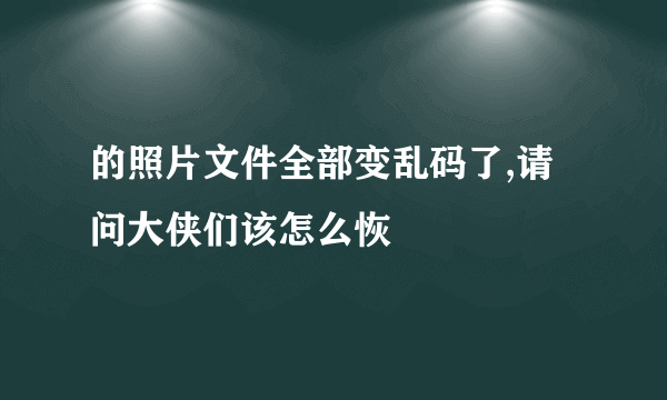 的照片文件全部变乱码了,请问大侠们该怎么恢復