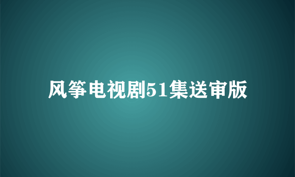 风筝电视剧51集送审版