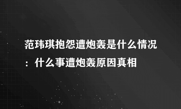 范玮琪抱怨遭炮轰是什么情况：什么事遭炮轰原因真相