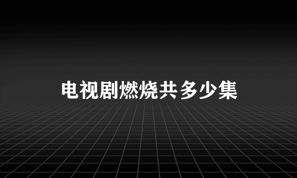 电视剧燃烧共多少集