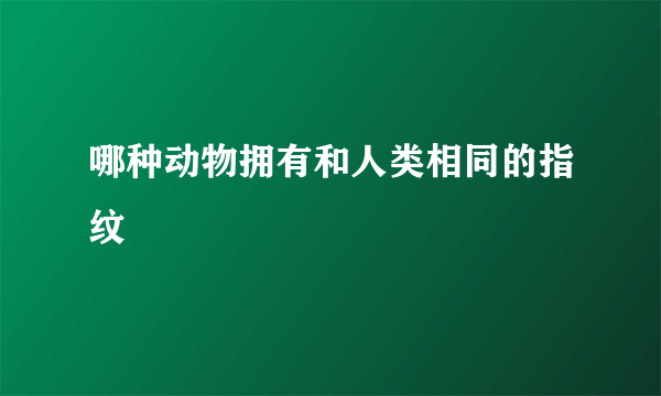 哪种动物拥有和人类相同的指纹