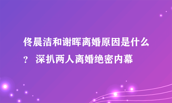 佟晨洁和谢晖离婚原因是什么？ 深扒两人离婚绝密内幕