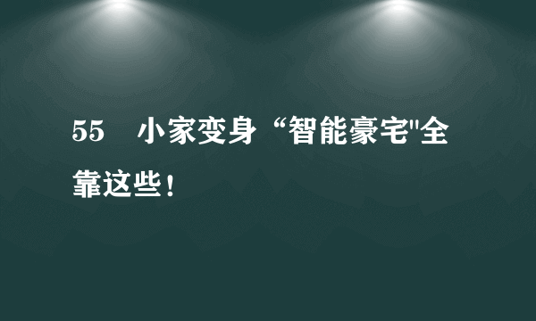 55㎡小家变身“智能豪宅