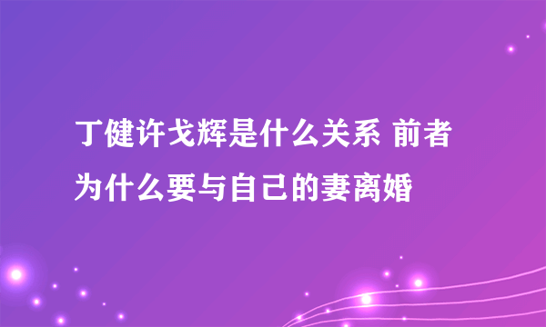 丁健许戈辉是什么关系 前者为什么要与自己的妻离婚