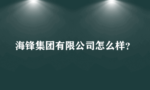 海锋集团有限公司怎么样？