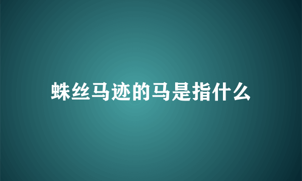 蛛丝马迹的马是指什么